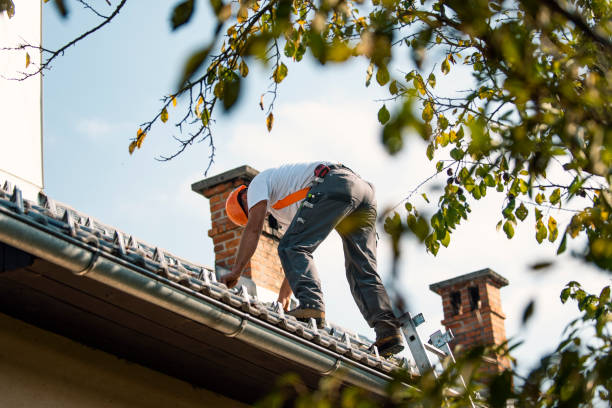 Best Roof Maintenance Services  in Fountain Green, UT